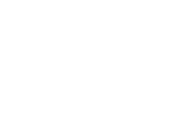 Shoe Solutions - Logo